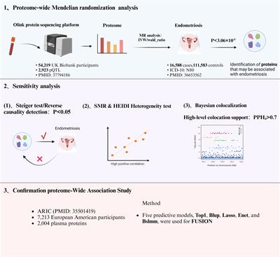 Identifying novel potential drug targets for endometriosis via plasma proteome screening